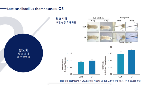 유산균 성분(L.rhamnosus sc. Q5) 연구 자료