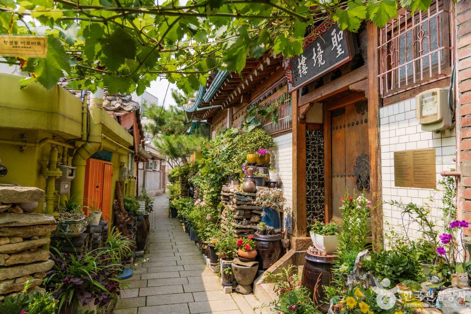 가을에 가볼 만한 곳, 서울의 역사와 미식이 흐르는 특별한 시간 - 스타데일리뉴스