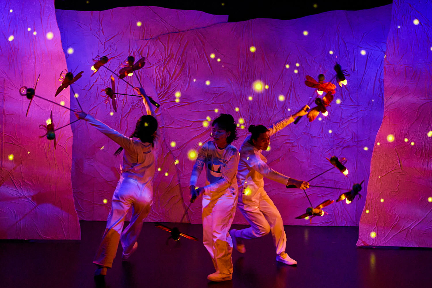 사진 제공 할리퀸크리에이션즈