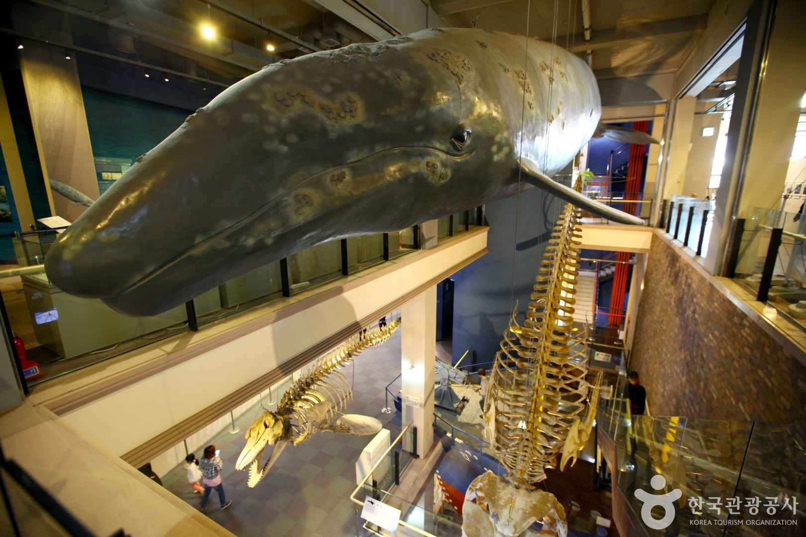 장생포고래박물관 (ⓒ한국관광공사)