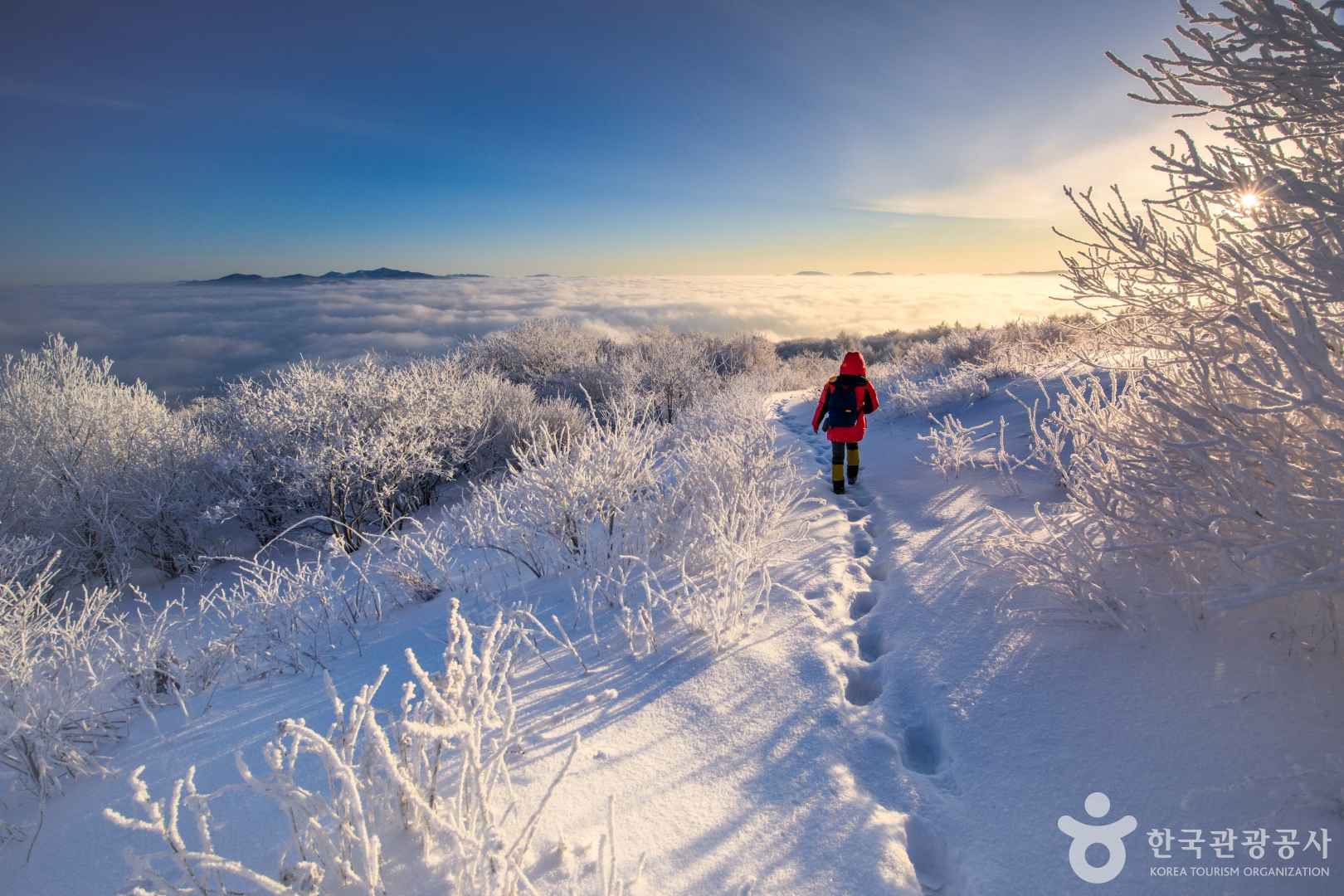 태백산과 설경이 어우러진 강원 태백 가볼 만한 곳 - 스타데일리뉴스