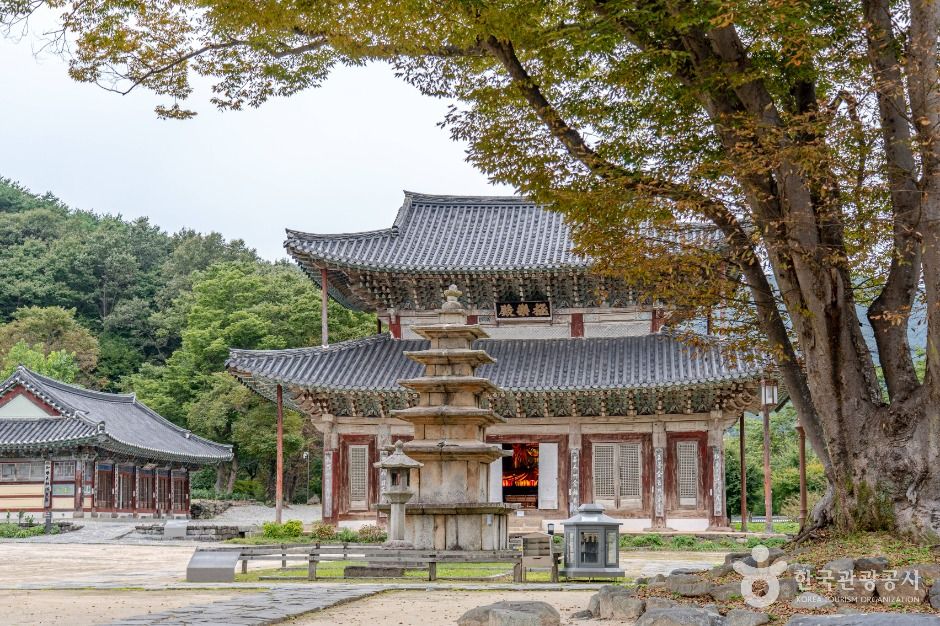 부여 가볼 만한 곳, 고요한 자연 속에서 찾는 평화 - 스타데일리뉴스