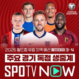 노르웨이 축구 국가대표팀 경기 장면