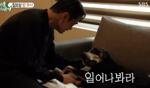 '미우새'에 <b>반려견</b> '<b>벨</b>' 마지막 모습 공개한 <b>배정남</b>, 애틋한 마음