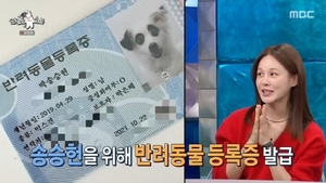뮤지컬 배우 <b>아이비</b>, 반려견 '<b>송승헌</b>' 이름 <b>해명</b>
