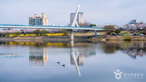 대구 가볼 만한 곳, 도심 속 여유와 유원지의 정취를 만끽하는 여정 - 뉴스 썸네일 이미지