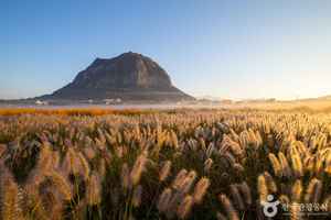 제주 서귀포 가볼 만한 곳, 감각적인 공간과 이색 체험이 기다리는 곳 - 뉴스 썸네일 이미지