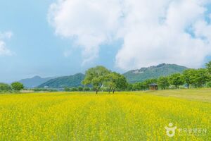 겨울 여주 가볼 만한 곳, 자연 속에서 만나는 특별한 휴식 - 뉴스 썸네일 이미지