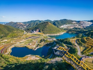 동해의 겨울 풍경 가볼 만한 곳, 푸른 바다와 함께하는 미식 탐험 - 뉴스 썸네일 이미지