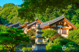 영주 명소, 전통과 자연이 어우러진 풍경 속 이야기 - 스타데일리뉴스