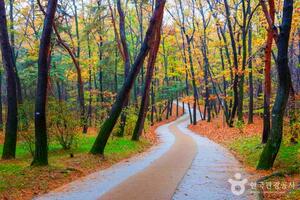 가족과 함께 찾는 화성 가볼 만한 곳 추천 - 뉴스 썸네일 이미지