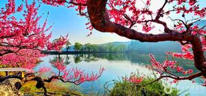 봄바람 따라 걷기 좋은 경산 가볼 만한 곳 여행지 - 뉴스 썸네일 이미지