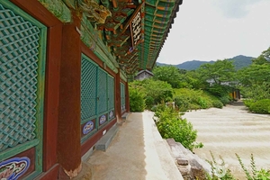 괴산의 푸른 자연 속, 몸과 마음을 채우는 가볼 만한 곳