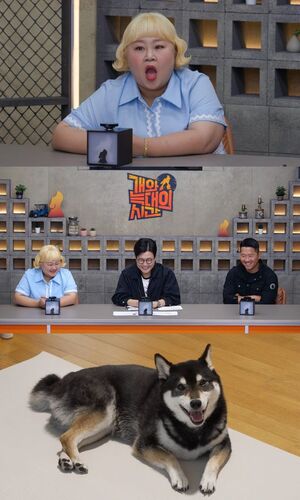 홍윤화, '개늑시2'서 반려견 망망이 편식 완치 비화 공개