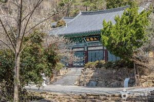 순천의 자연과 역사를 만나는 여름, 가볼 만한 명소