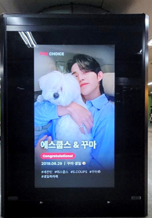 세븐틴 에스쿱스 반려견 '꾸마', 팬 서포트로 합정역 전광판 장식 - 뉴스 썸네일 이미지